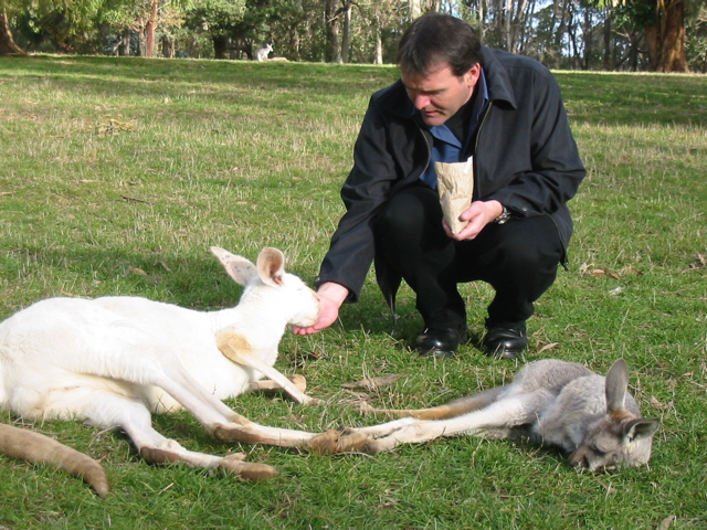 Cleland Wildlife Park