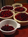Harvest from our cherry tree