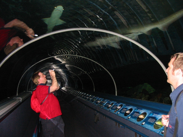 Justin and Grant in the Shark Tunnel