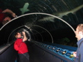 Justin and Grant in the Shark Tunnel
